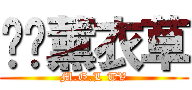 喵嘎薰衣草 (M.G.L TV)