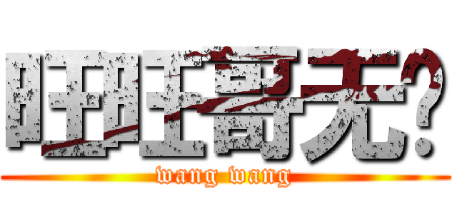 旺旺哥无敌 (wang wang)
