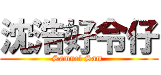 沈浩好令仔 (Samuel Sam )