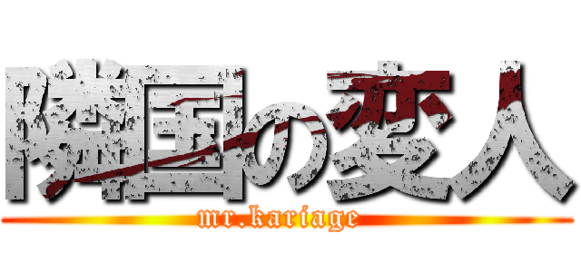 隣国の変人 (mr.kariage )