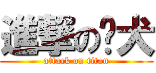 進撃の貓犬 (attack on titan)