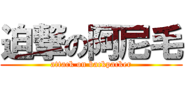 迫撃の阿尼毛 (attack on backpacker)