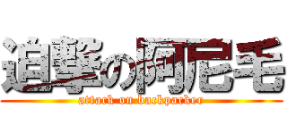 迫撃の阿尼毛 (attack on backpacker)