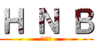 Ｈ Ｎ Ｂ (健康營養)