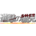 進擊の貓兒 (attack on kitten)