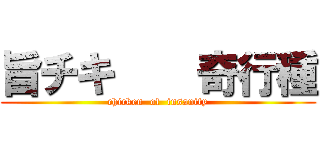 旨チキ    奇行種 (chicken  of  insanity)