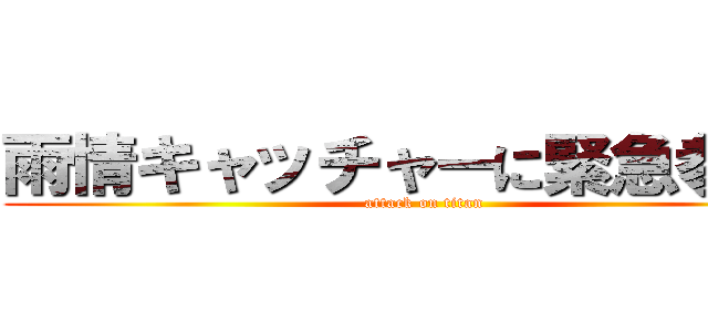 雨情キャッチャーに緊急参戦！ (attack on titan)