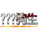 屌你啦狗生 (fuck ip ryan)