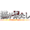 猫が果たし (Katze plays)