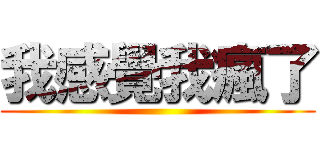 我感覺我瘋了 ()