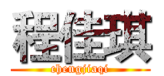 程佳琪 (chengjiaqi)