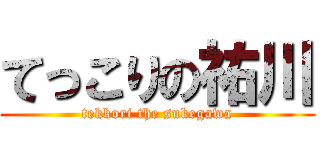 てっこりの祐川 (tekkori the sukegawa)