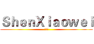 ＳｈｅｎＸｉａｏｗｅｉ (沈小炜)
