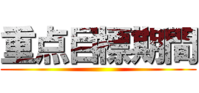 重点目標期間 ()