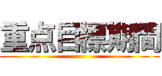 重点目標期間 ()