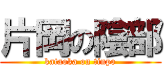 片岡の陰部 (kataoka on tinpo)