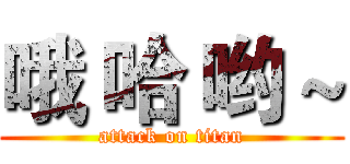 哦 哈 哟 ~ (attack on titan)