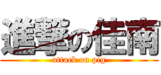 進撃の佳南 (attack on pig)