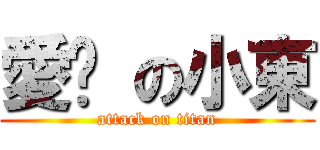 愛你 の小東 (attack on titan)