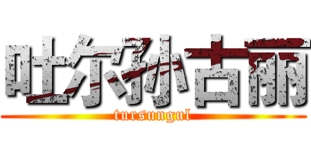 吐尔孙古丽 (tursungul)