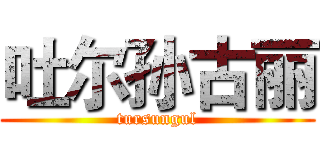 吐尔孙古丽 (tursungul)