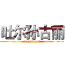 吐尔孙古丽 (tursungul)