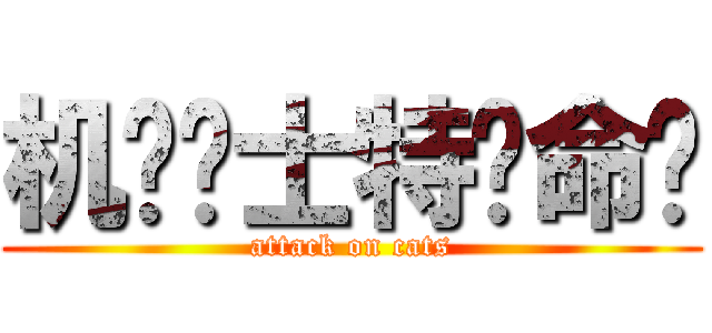 机动战士特种命运 (attack on cats)