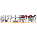 机动战士特种命运 (attack on cats)