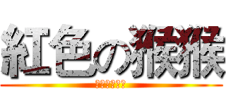 紅色の猴猴 (訂閱紅色猴猴)