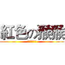 紅色の猴猴 (訂閱紅色猴猴)