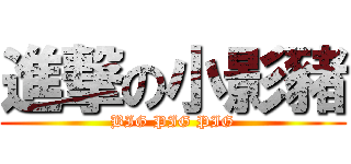 進撃の小影豬 (BIG PIG PIG)