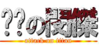 嘿咻の閔傑 (attack on titan)