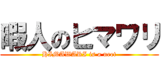 暇人のヒマワリ (HIMAWARI is a neet)