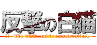 反撃の白猫 (訳文  The white cat to counterattack)