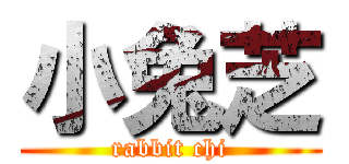 小兔芝 (rabbit chi)