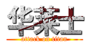 华莱士 (attack on titan)