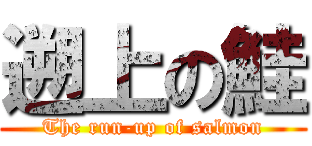 遡上の鮭 (The run-up of salmon)