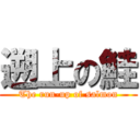 遡上の鮭 (The run-up of salmon)