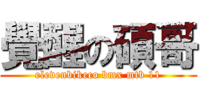 覺醒の碩哥 (elevenbikeco bmx mtb 11)