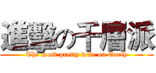 進擊の千層派 (The most pretty wife on Earth)