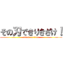 その刃できりきざけ！ (attack on titan)