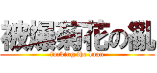 被爆菊花の亂 (fucking the luan)