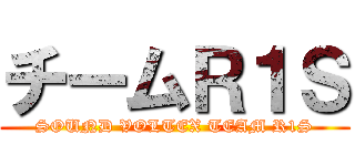 チームＲ１Ｓ (SOUND VOLTEX TEAM R1S)