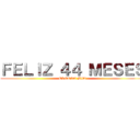 ＦＥＬＩＺ ４４ ＭＥＳＥＳ (ESPOSA MIA)