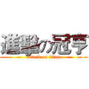 進擊の冠亨 (attack on titan)