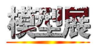 模型展 ()