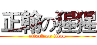 正翰の猩猩 (attack on titan)