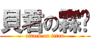 貝君の霖嗯 (attack on titan)
