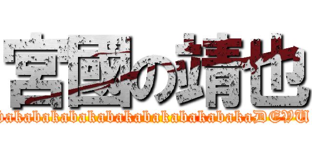 宮國の靖也 (bakabakabakabakabakabakabakaDEVU)