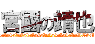 宮國の靖也 (bakabakabakabakabakabakabakaDEVU)